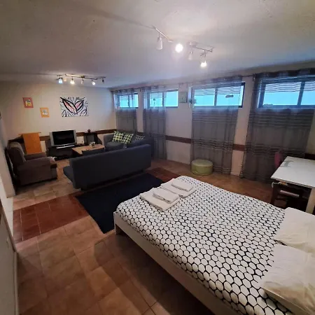 Spacious Economic Center Flat *