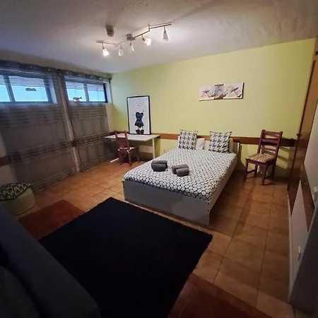 Spacious Economic Center Flat Apartment *