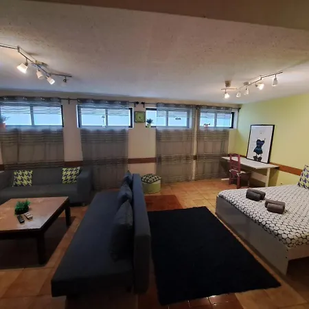 Spacious Economic Center Flat Apartment *